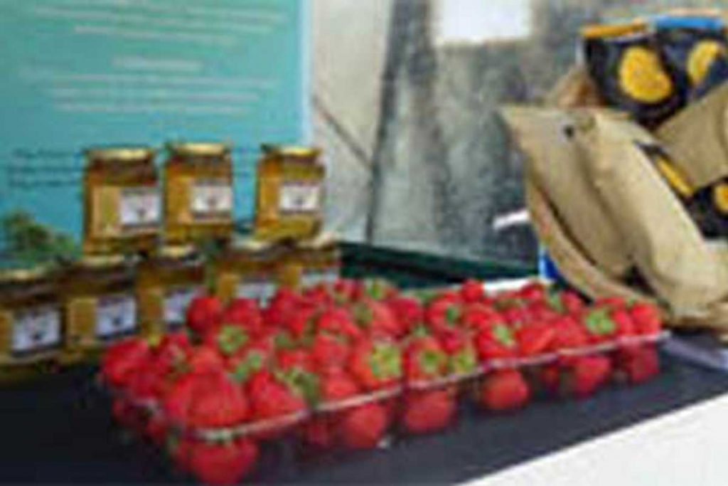 Tamar Valley Food Hubs