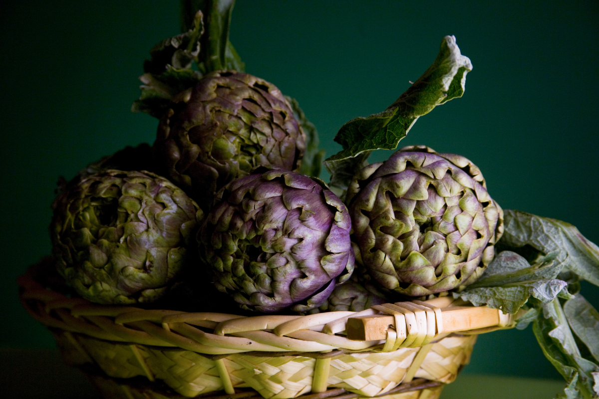 Visit_Tamar_Valley_Birland_Feasts