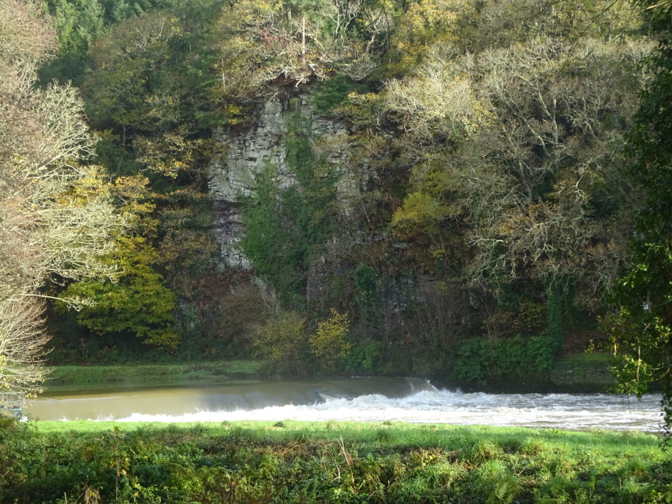 Weir on the River Tamar at Gunnislake: the tidal limit of the river