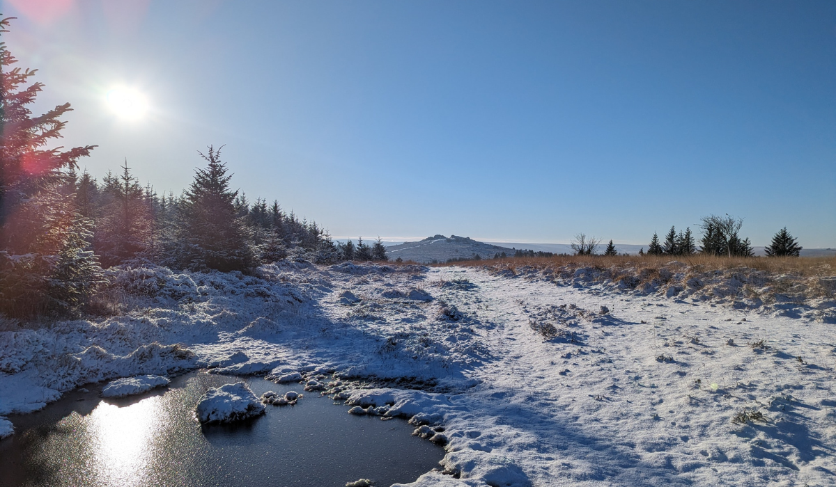 Ramblers Rest Dartmoor views