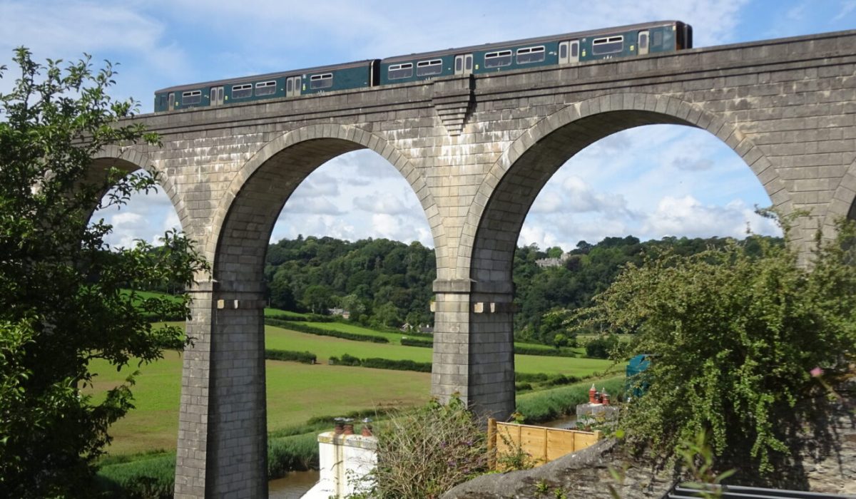 The Tamar Valley Line in action!