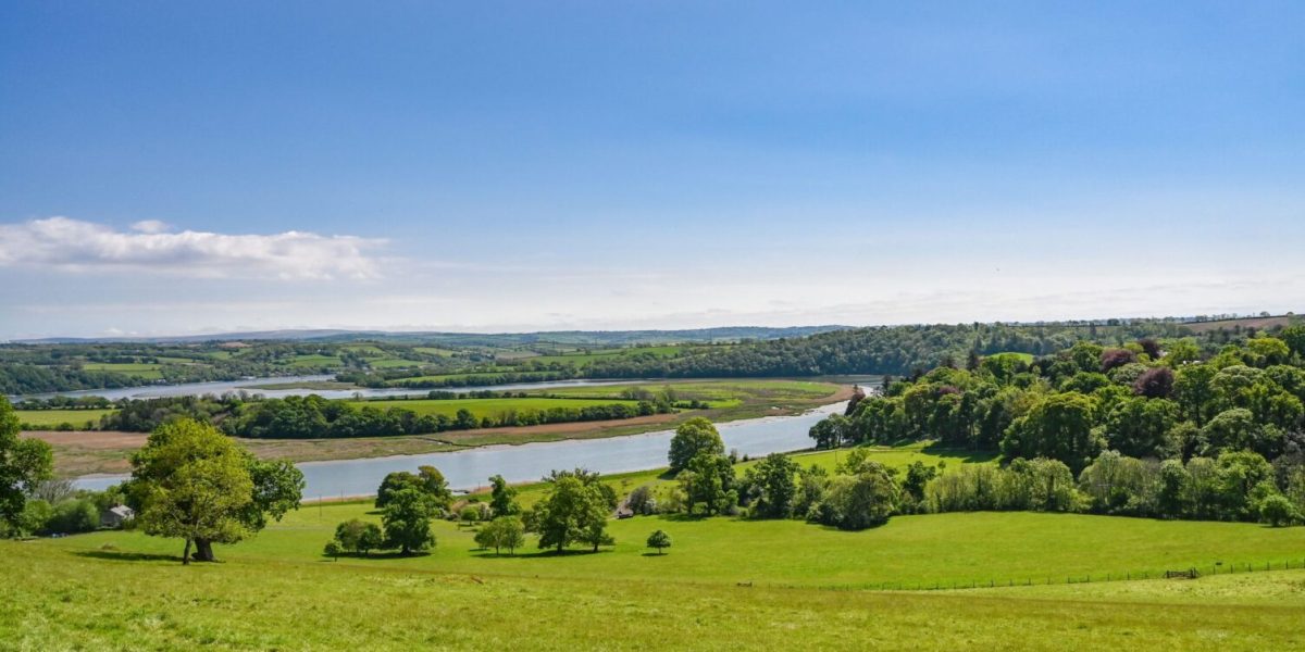 15 Views across the Tamar Valley and to Dartmoor at Pentillie Castle, by Grey Dog Images