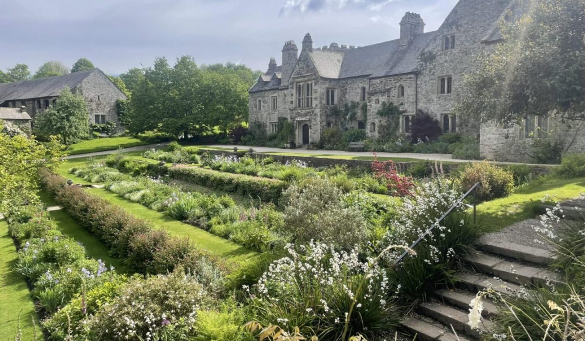 BLOG - Cotehele