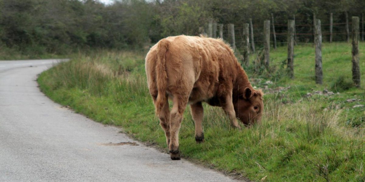 BLOG - 6842853079_14524cc2b0_b