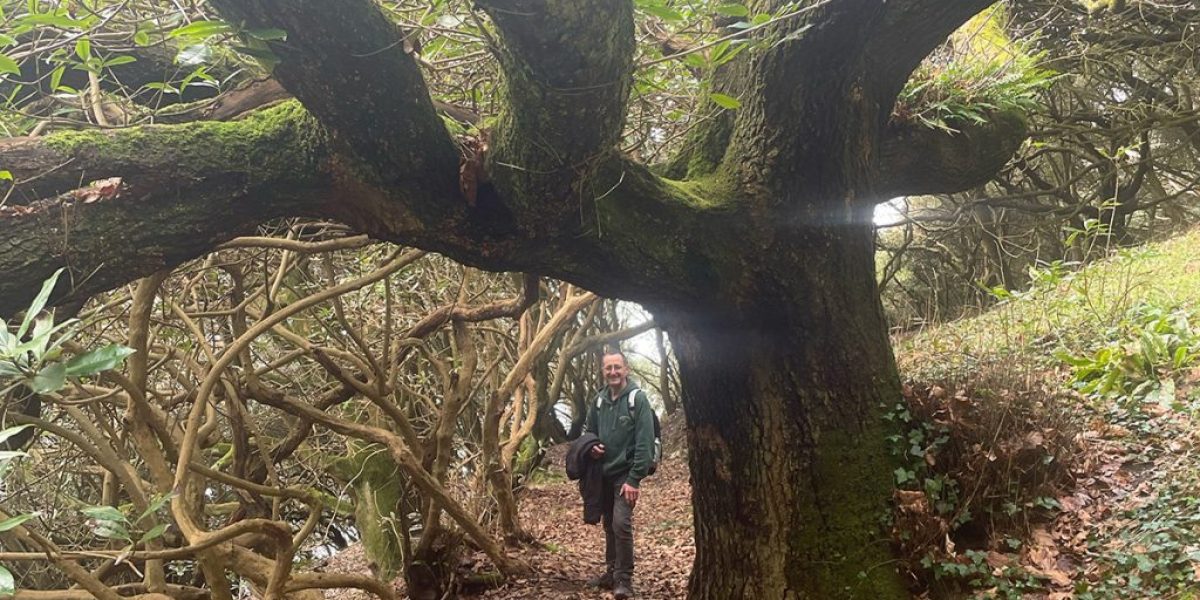 RAME PENINSULA - A remote, wild stretch of beach east of Downderry, accessible at low tide
