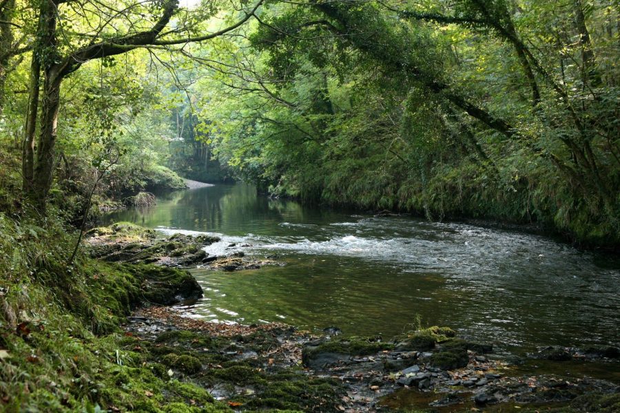 Arundell Arms River Lyd Arundell Arms River Lyd