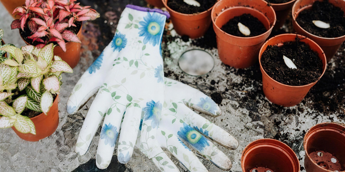 BLOG WHY GARDEN LOVERS FALL FOR (4)