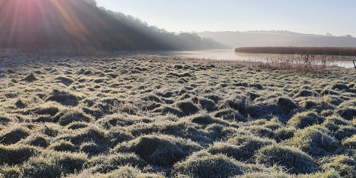 Enchanted Valley in winter