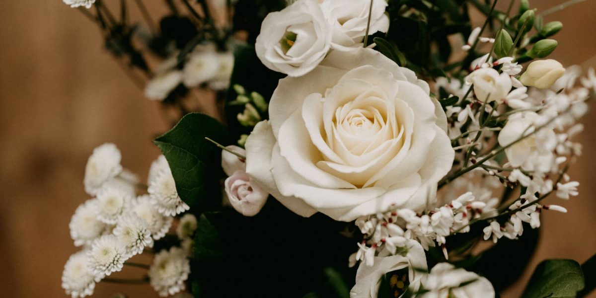 GUEST BLOG POST MAY 2026 annie-spratt-ywqOHO8vU34-unsplash