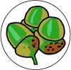 Green_acorn_logo-July_2008 (1)