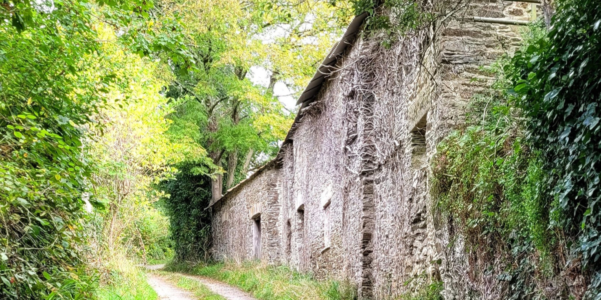 BLOG - Lucy Daniel C2C (4)