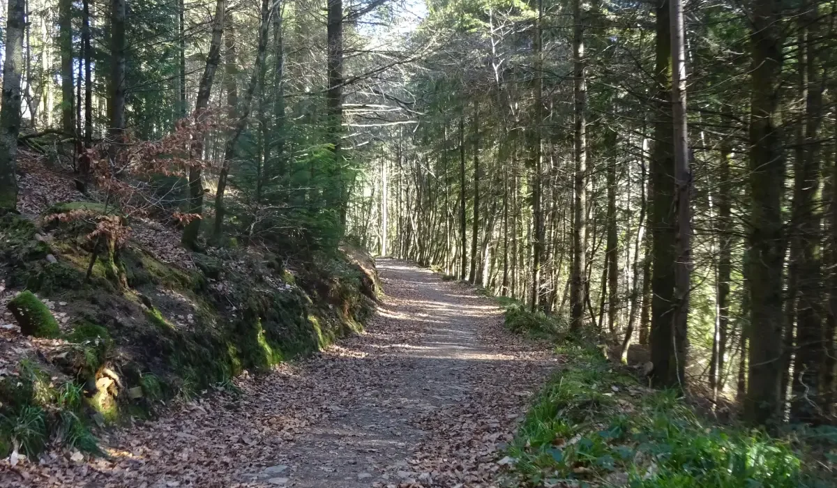 The old mineral line provides an easy walk across the wooded valley slopes