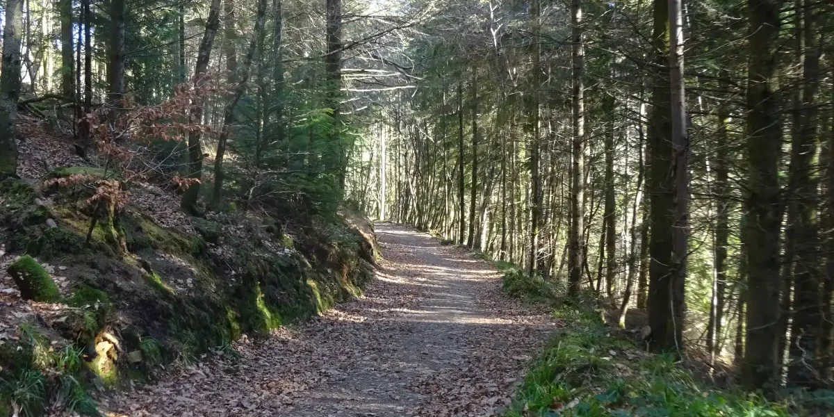 The old mineral line provides an easy walk across the wooded valley slopes