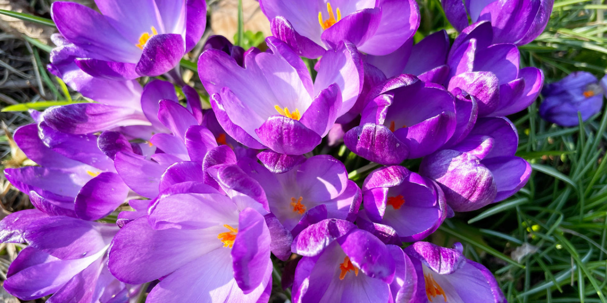 BLOG - Railholiday blog (2)