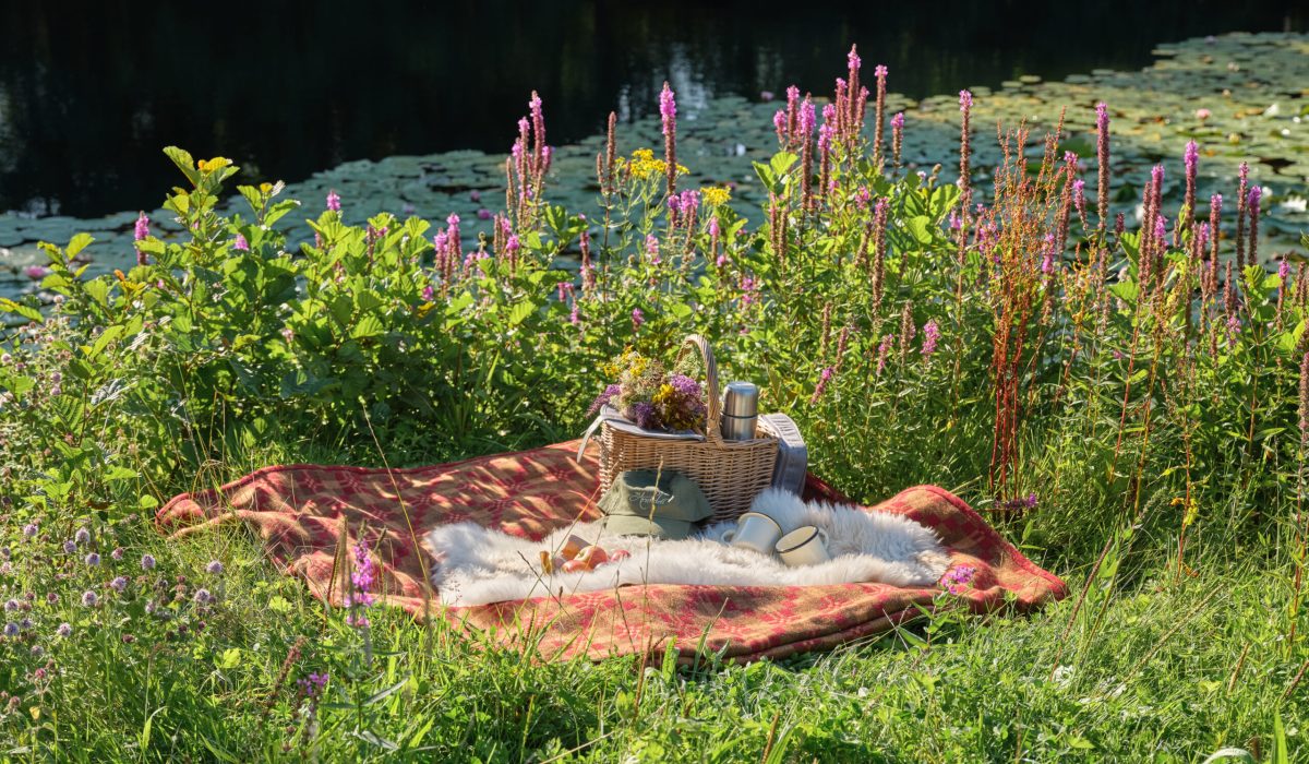 The Arundell Fishing Lake Autumn Winter picnic