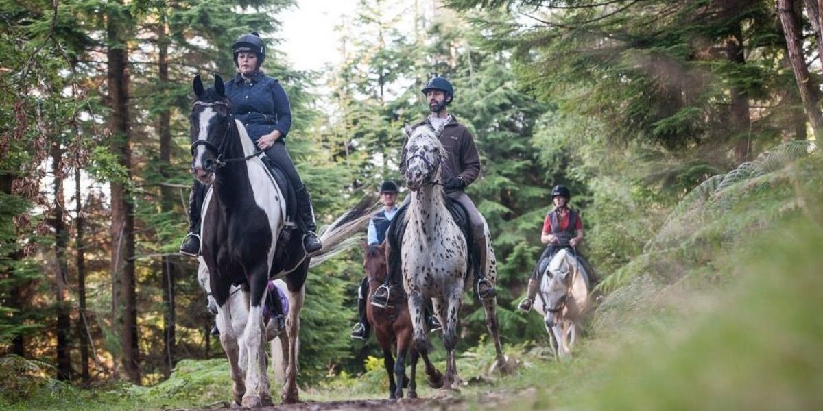 TAMAR TRAILS - Tamar Trails