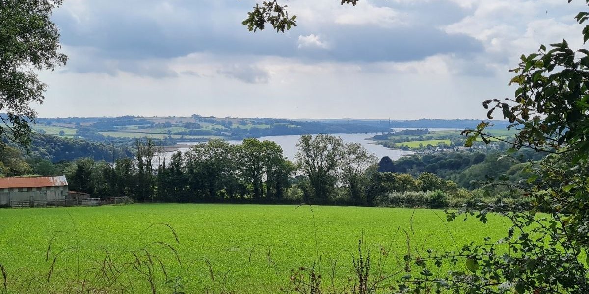 A view of the Rivers Tamar and Tavy from the Bere Peninsula