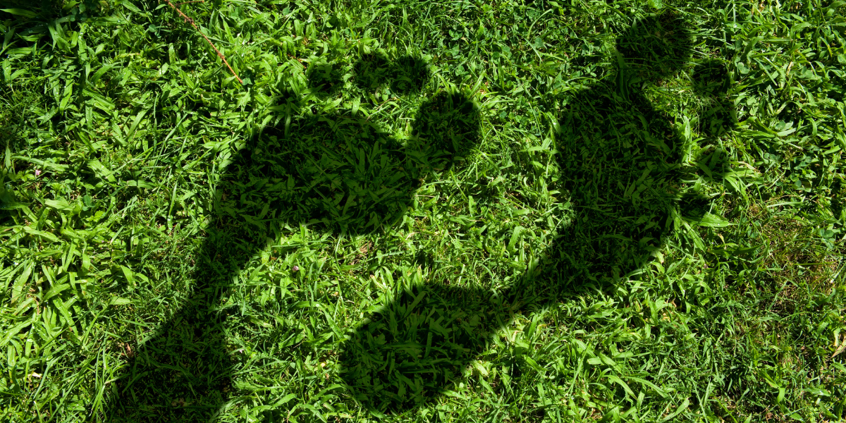 GTP  Untitled design (39)