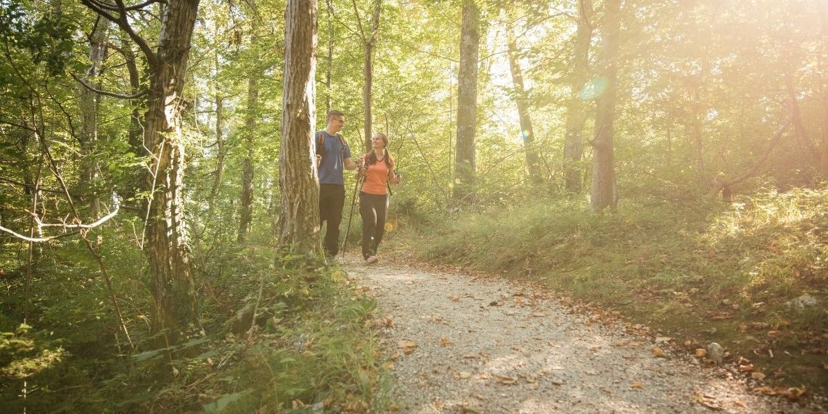 Visit-Tamar-Valley-Discovery-Trail (1)