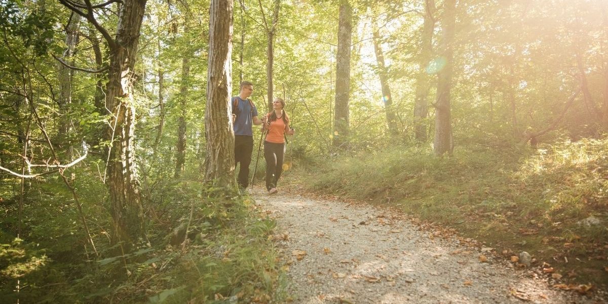 Visit-Tamar-Valley-Discovery-Trail (1)