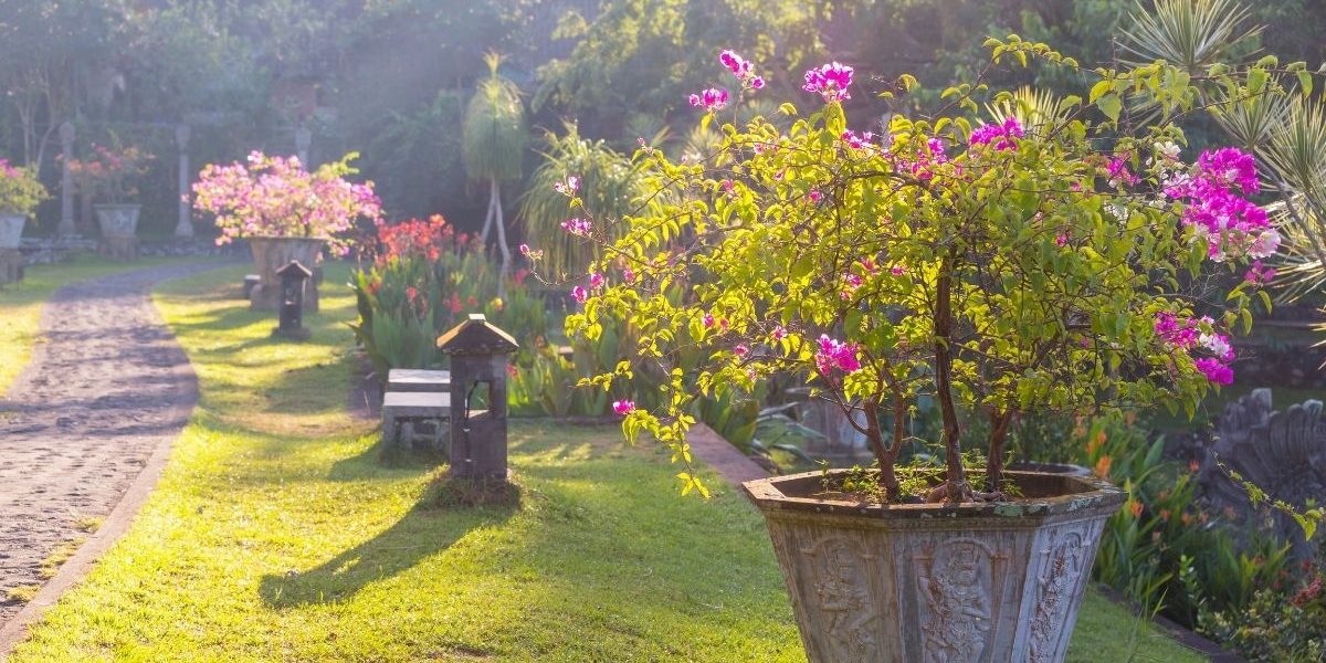 Visit Tamar Valley Gardens