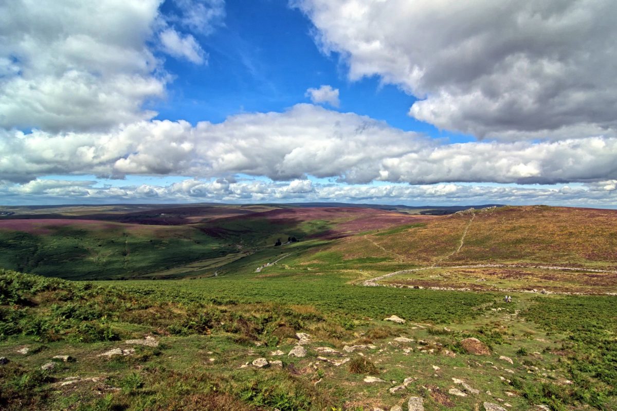 Visit_Tamar_Valley_Dartmoor