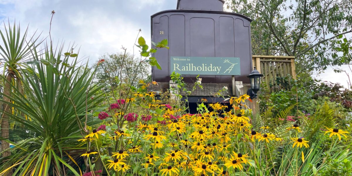 BLOG - RAILHOLIDAY - PLANET FRIENDLY media_mevy_with_rudbeckieas